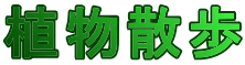 AU